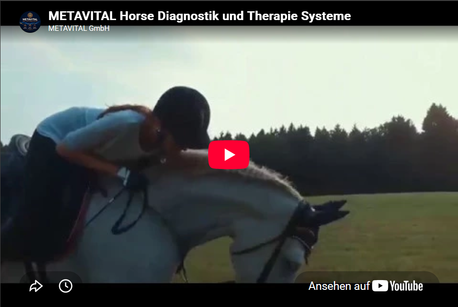 Video Vorschaubild Metavital Horse
